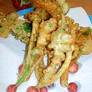 はつかだいこんレシピ 作り方の人気順 簡単料理の楽天レシピ はつかだいこんレシピ 作り方の人気順 簡単料理の楽天レシピ